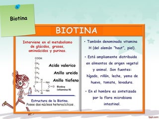Estructura de la Biotina.
Posee dos núcleos heterocíclicos .
Biotina
Anillo ureido
Anillo tiofeno
Acido valerico
 
