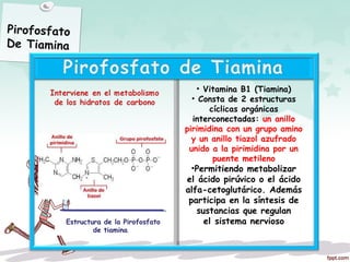 Pirofosfato
De Tiamina
Estructura de la Pirofosfato
de tiamina.
• Vitamina B1 (Tiamina)
• Consta de 2 estructuras
cíclicas orgánicas
interconectadas: un anillo
pirimidina con un grupo amino
y un anillo tiazol azufrado
unido a la pirimidina por un
puente metileno
•Permitiendo metabolizar
el ácido pirúvico o el ácido
alfa-cetoglutárico. Además
participa en la síntesis de
sustancias que regulan
el sistema nervioso
 