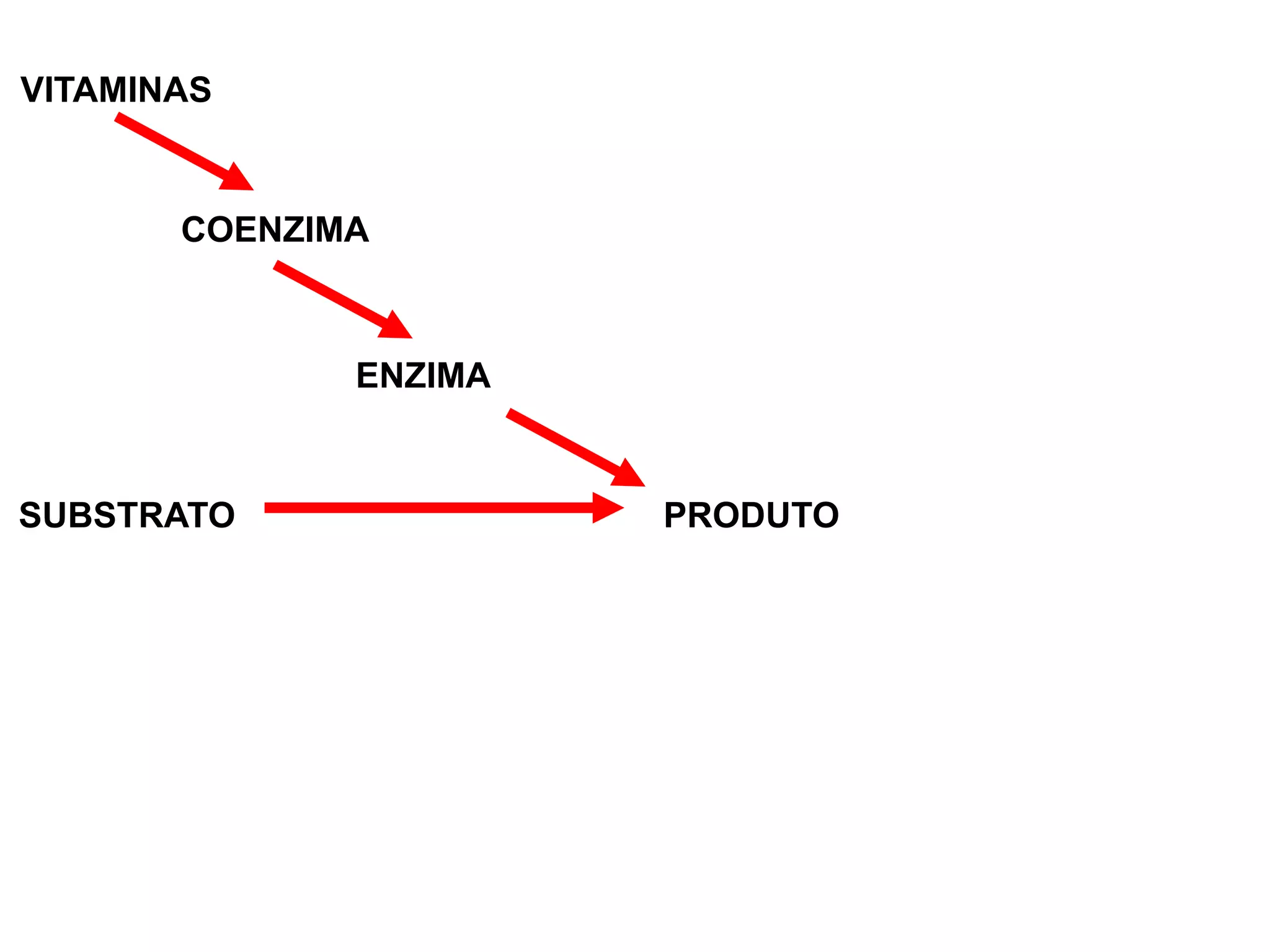 VITAMINAS
COENZIMA
ENZIMA
SUBSTRATO PRODUTO