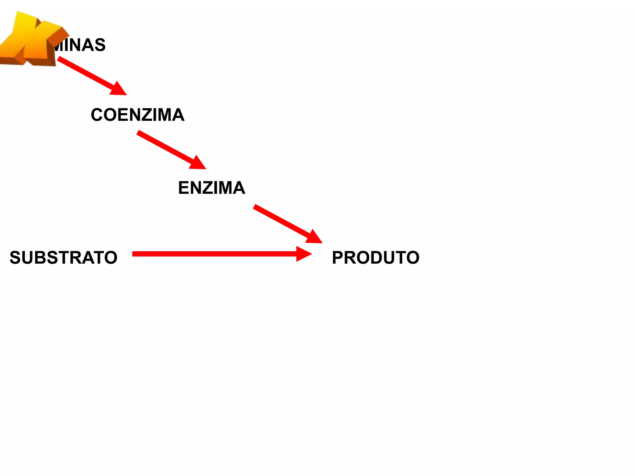 VITAMINAS
COENZIMA
ENZIMA
SUBSTRATO PRODUTO