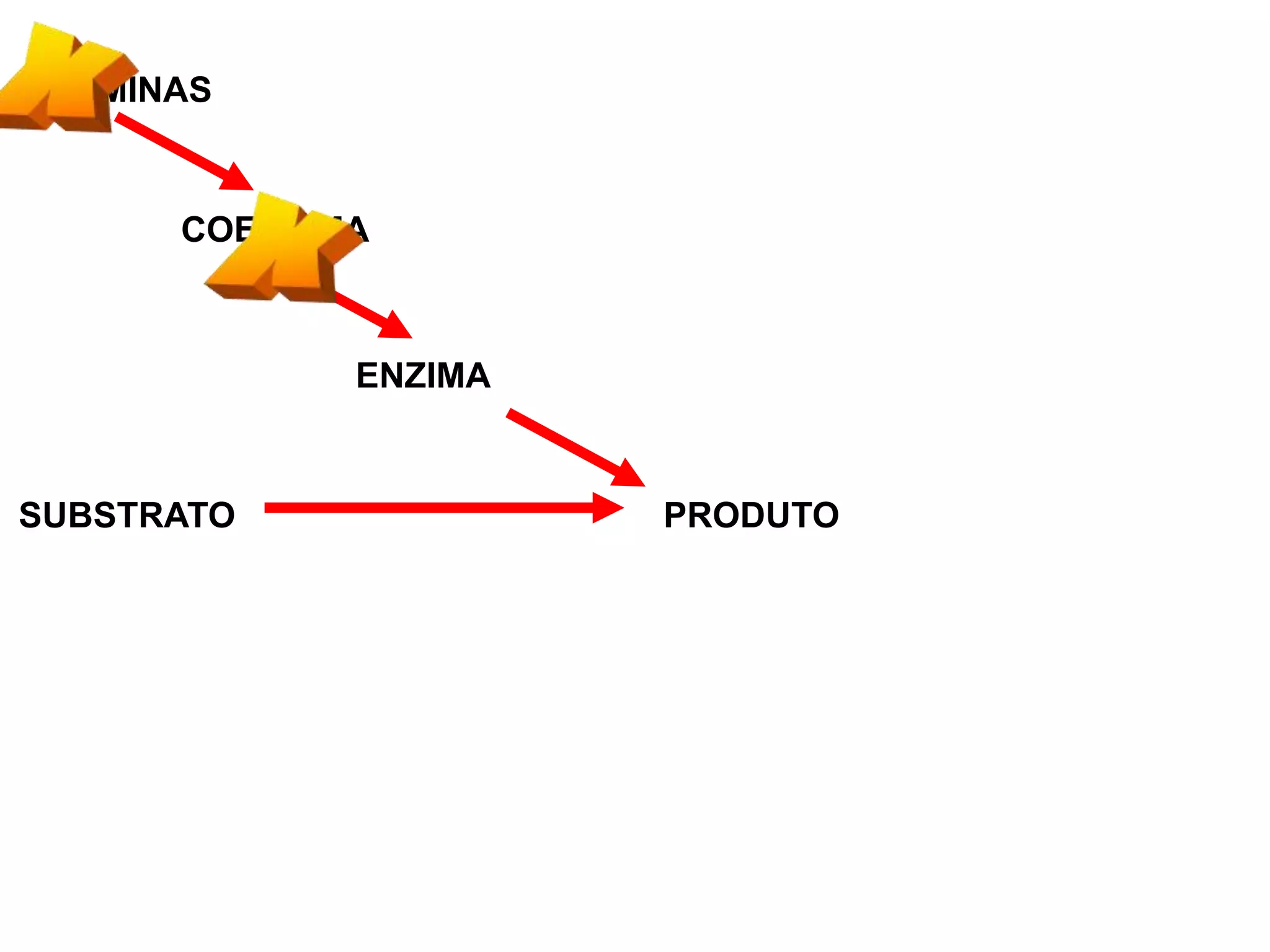 VITAMINAS
COENZIMA
ENZIMA
SUBSTRATO PRODUTO