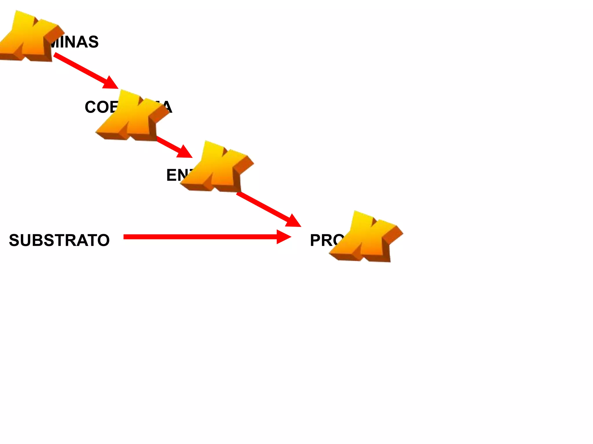VITAMINAS
COENZIMA
ENZIMA
SUBSTRATO PRODUTO