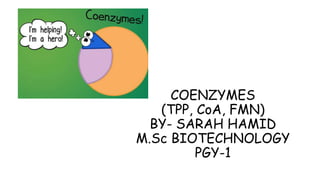 COENZYMES
(TPP, CoA, FMN)
BY- SARAH HAMID
M.Sc BIOTECHNOLOGY
PGY-1
 