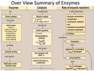 Coenzymes and Cofactors -pg.pptx