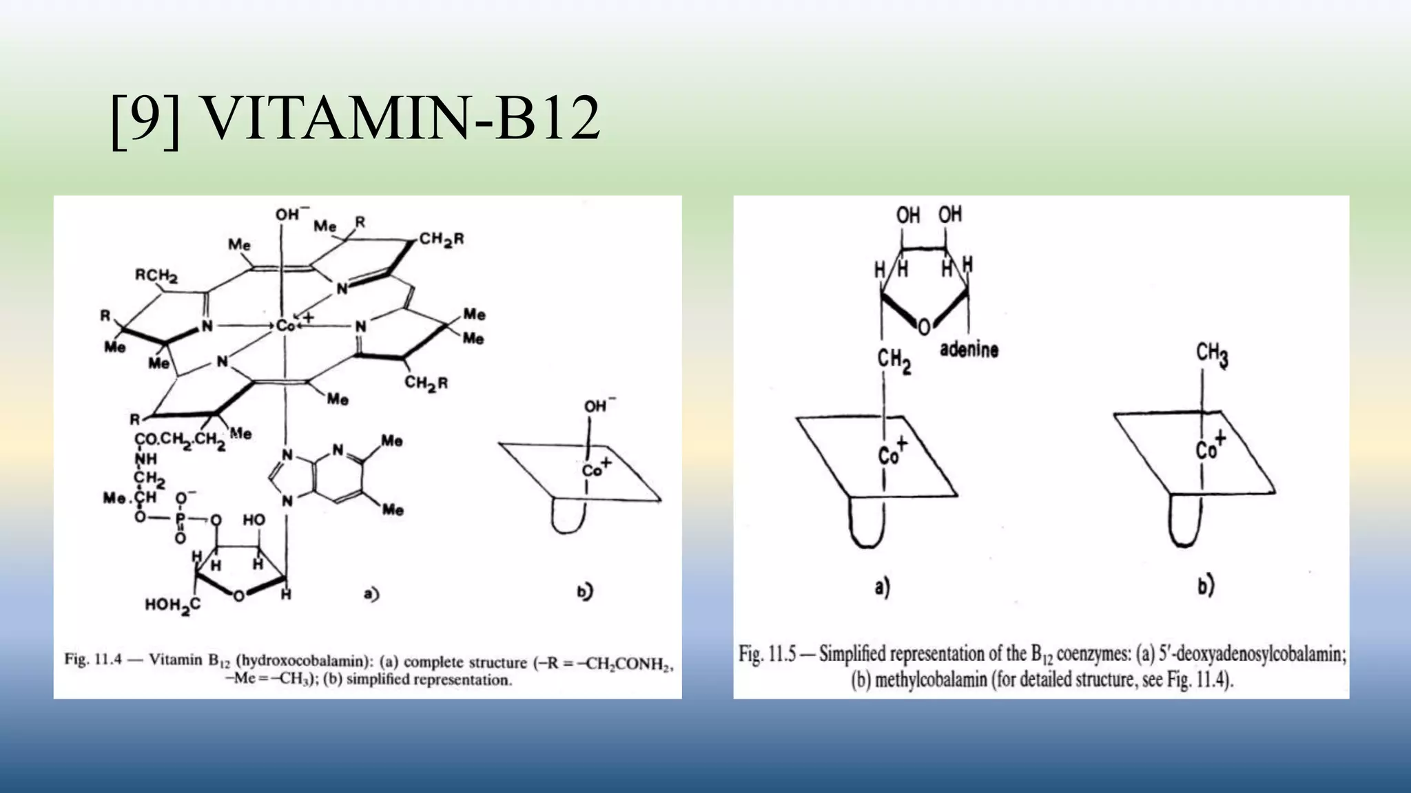 [9] VITAMIN-B12
 