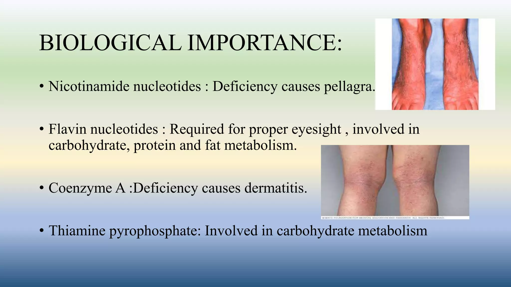 BIOLOGICAL IMPORTANCE:
• Nicotinamide nucleotides : Deficiency causes pellagra.
• Flavin nucleotides : Required for proper eyesight , involved in
carbohydrate, protein and fat metabolism.
• Coenzyme A :Deficiency causes dermatitis.
• Thiamine pyrophosphate: Involved in carbohydrate metabolism
 