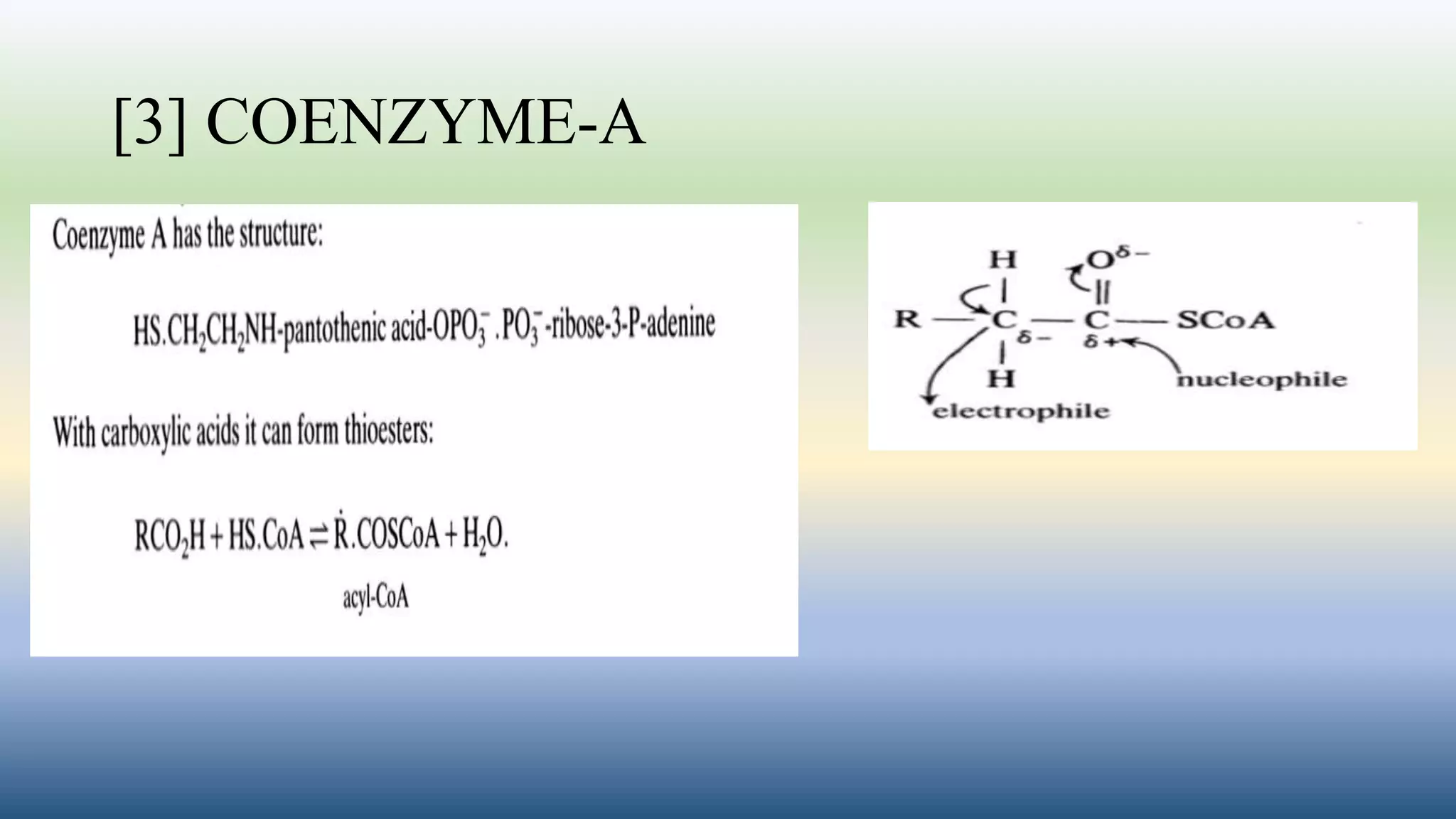 [3] COENZYME-A
 