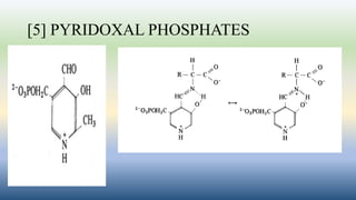 [5] PYRIDOXAL PHOSPHATES
 