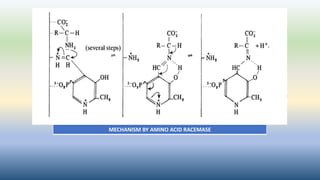 MECHANISM BY AMINO ACID RACEMASE
 