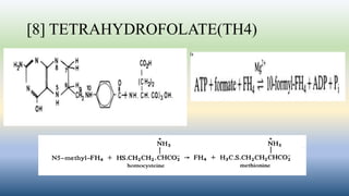 [8] TETRAHYDROFOLATE(TH4)
 
