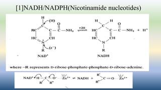 [1]NADH/NADPH(Nicotinamide nucleotides)
 
