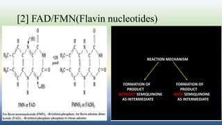 [2] FAD/FMN(Flavin nucleotides)
REACTION MECHANISM
FORMATION OF FORMATION OF
PRODUCT PRODUCT
WITHOUT SEMIQUINONE WITH SEMIQUINONE
AS INTERMEDIATE AS INTERMEDIATE
 