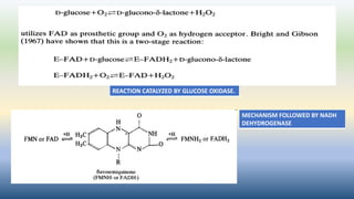 REACTION CATALYZED BY GLUCOSE OXIDASE.
MECHANISM FOLLOWED BY NADH
DEHYDROGENASE
 