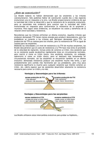 La guerra biológica y la escalada armamentista de la coevolución
UCMP – Understanding Evolution Team – 2007 – Traducción: Prof. José Miguel Palma ‐2009‐2010 13 
¿Esto es coevolución? 
Los Brodie todavía no habían demostrado que las serpientes y los tritones
coevolucionaron. Sólo podemos hablar de coevolución cuando dos o más especies
evolucionan una en respuesta a la otra. Los Brodie proporcionaron evidencia de que
la toxicidad del tritón se desarrolló y que la resistencia de la serpiente evolucionó,
pero se necesitaba más evidencia para concluir que la toxicidad del tritón
evolucionaba en respuesta para contrarrestar la resistencia de la serpiente y
viceversa. Para lograr estas evidencias, se estudiaron los costos y beneficios de la
relación entre toxicidad y resistencia.
Recordemos que los tritones enfrentan un dilema evolutivo. Aquellos tritones que
producen demasiado TTX tienen menos energía para producir descendencia, pero los
predadores se comerán a los tritones que fabriquen demasiado poca TTX. La
producción de TTX es costosa para los tritones, pero la resistencia de TTX es igual de
costosa para las serpientes.
Midiendo las velocidades y el nivel de resistencia a la TTX de muchas serpientes, los
Brodie descubrieron que el costo de resistencia a la TTX hace mas lento el promedio
de la velocidad de reptación, incluso antes de comerse un tritón. Una serpiente que
no es resistente puede escabullirse rápidamente lejos en circunstancias normales,
pero morirá si come un tritón tóxico. Una serpiente resistente, sin embargo,
sobrevivirá si come un tritón tóxico, pero se deslizará más lentamente en
circunstancias normales. Así las serpientes se encuentran también en un dilema
evolutivo: demasiada resistencia produce una serpiente mucho más lenta, y que
probablemente será comida más fácilmente por sus predadores, pero muy poca
resistencia significaría la muerte para cualquier serpiente que intente comerse un
tritón. Así, cabría esperar que las serpientes desarrollen solamente la resistencia
necesaria para comer un tritón y no más.
Los Brodie utilizaron estos intercambios evolutivos para probar su hipótesis…
 