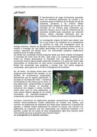 La guerra biológica y la escalada armamentista de la coevolución
UCMP – Understanding Evolution Team – 2007 – Traducción: Prof. José Miguel Palma ‐2009‐2010 16 
¿El Final? 
El descubrimiento de rasgos fuertemente apareados
entre las diferentes poblaciones de tritones y de
serpientes apoyó la hipótesis de los Brodie de que las
serpientes jarreteras y los tritones habían
coevolucionado. Después de mostrar que el nivel de
toxicidad de los tritones pudo evolucionar por
selección natural y que el nivel de resistencia de las
serpientes también pudo evolucionar por selección
natural, habían mostrado finalmente que las
serpientes y tritones parecen estar coevolucionando
La investigación original de Butch para deducir que
fue lo que mató a los cazadores en su campamento
se convirtió en toda una investigación seria de
biología evolutiva. Después de descubrir que los tritones eran de hecho tóxicos, él
empezó a investigar por qué habían desarrollado tal toxicidad extrema, y, en el
proceso, descubrió una batalla feroz. Los infortunados cazadores simplemente
quedaron entre el fuego cruzado…
Los Brodie han contestado muchas preguntas desde que Butch empezó investigando
la toxicidad del tritón hace 40 años. ¿Qué mató a los cazadores desafortunados?
¿Cómo los tritones desarrollaron su toxicidad? ¿Por qué algunos tritones son
sumamente tóxicos? ¿Qué predador desarrolló resistencia a la toxina del tritón? ¿Qué
intercambios se involucraron en esta carrera armamentista? Los estudios de los
Brodie han esclarecido esas preguntas y muchas más. Con tantas preguntas
contestadas, ¿éste podría ser el fin de la investigación de los Brodie?
No, de hecho, ¡los Brodie tienen ahora más
preguntas para resolver! Por ejemplo, en sus
estudios de características emparejadas,
descubrieron que en algunas poblaciones, la
escalada de toxicidad del tritón / resistencia
de serpientes es más intensa que en otras. En
esas poblaciones, comprometidas en batallas
evolutivas más intensas, la toxicidad y
resistencia han llegado a niveles increíble‐
mente altos; pero en otras poblaciones, la
lucha parece haberse agotado en los niveles
intermedios de toxicidad/resistencia o
simplemente recién está comenzando.
¡Inclusive, encontraron en poblaciones paralelas características desiguales en la
relación tóxico/resistencia! Existen poblaciones de tritones muy tóxicos, que
conviven con poblaciones de serpientes que tienen bajas resistencia a la ponzoña de
aquellos, y también existen poblaciones de tritones no tóxicos, que conviven con
poblaciones de serpientes que han desarrollado una resistencia excelente a la
ponzoña. ¿Cuáles son las causas de estas desigualdades? ¿Qué otros factores están
interviniendo para que se presente esta situación dispar?
La investigación (y la batalla) continúa…
 