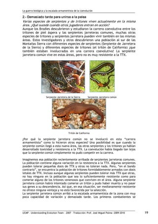 La guerra biológica y la escalada armamentista de la coevolución
UCMP – Understanding Evolution Team – 2007 – Traducción: Prof. José Miguel Palma ‐2009‐2010 19 
2.­ Demasiado tarde para unirse a la pelea 
Varias especies de serpientes y de tritones viven actualmente en la misma
área. ¿Qué sucede cuando otros jugadores entran en acción?
Aunque los Brodies descubrieron y estudiaron la carrera coevolutiva entre los
tritones de piel áspera y las serpientes jarreteras comunes, muchas otras
especies de tritones y serpientes jarretera pueden vivir también en las mismas
áreas. Estos investigadores y otros descubrieron una población al sur de las
Montañas Sierra con diferentes especies de serpientes (Serpiente de Jarretera
de la Sierra) y diferentes especies de tritones (el tritón de California) ¡que
también estaban involucrados en una carrera coevolutiva! La serpiente
jarretera común vive en estas áreas, pero no es muy resistente a la TTX.
Serpiente Jarretera de la Sierra Serpiente Jarretera común
Tritón de California
¿Por qué la serpiente jarretera común no se involucró en esta “carrera
armamentista” como lo hicieron otras especies? Una posibilidad es que cuando la
serpiente común llegó a esta nueva área, las otras serpientes y los tritones ya habían
desarrollado toxicidad y resistencia a la TTX. La coevolución había llegado tan lejos
que la serpiente común simplemente no pudo competir en la carrera.
Imaginemos esa población recientemente arribada de serpientes jarreteras comunes.
La población contiene alguna variación en la resistencia a la TTX. Algunas serpientes
pueden tolerar pequeñas dosis de TTX y otras no toleran nada. Pero, “en el bando
contrario”, se encuentra la población de tritones formidablemente armados con dosis
letales de TTX. Incluso aunque algunas serpientes pueden tolerar más TTX que otras,
no hay ninguna en la población que sea lo suficientemente resistente como para
comerse alguno de los tritones venenosos que conviven en el área. Alguna serpiente
jarretera común habrá intentado comerse un tritón y pudo haber muerto y no pasar
sus genes a su descendencia. Así que, en esa situación, ser medianamente resistente
no ofrece ninguna ventaja y no está favorecida por la selección.
La serpiente jarretera común arribó a la escalada armamentista de la zona con muy
poca capacidad de variación y demasiado tarde. Los primeros combatientes se
 