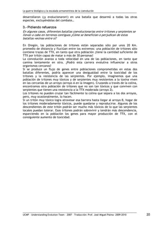 La guerra biológica y la escalada armamentista de la coevolución
UCMP – Understanding Evolution Team – 2007 – Traducción: Prof. José Miguel Palma ‐2009‐2010 20
desarrollaron (¡y evolucionaron!) en una batalla que desarmó a todas las otras
especies, excluyéndolas del combate… 
3.­ Pidiendo refuerzos 
En algunos casos, diferentes batallas coevolucionarias entre tritones y serpientes se
llevan a cabo en terrenos contiguos ¿Cómo se benefician o perjudican de estas
batallas vecinas entre sí?
En Oregón, las poblaciones de tritones están separadas sólo por unos 20 Km.
promedio de distancia y fluctúan entre los extremos: una población de tritones sólo
contiene trazas de TTX, en tanto que otra población ¡tiene la cantidad suficiente de
TTX por tritón capaz de matar a más de 30 personas!
La convolución avanza a toda velocidad en una de las poblaciones, en tanto que
camina lentamente en otra. ¿Podrá esta carrera evolutiva influenciar a otros
organismos cercanos?
Si se produce un flujo de genes entre poblaciones comprometidas en estas dos
batallas diferentes, podría aparecer una desigualdad entre la toxicidad de los
tritones y la resistencia de las serpientes. Por ejemplo, imaginemos que una
población de tritones muy tóxicos y de serpientes muy resistentes a la toxina viven
en las cercanías de un arroyo (arroyo A en la imagen). Cruzando a través de la colina,
encontramos otra población de tritones que no son tan tóxicos y que conviven con
serpientes que tienen una resistencia a la TTX moderada (arroyo 2).
Los tritones no pueden cruzar tan fácilmente la colina que separa a los dos arroyos,
pero, muy ocasionalmente, lo hacen.
Si un tritón muy tóxico logra atravesar esa barrera hasta llegar al arroyo B, hogar de
los tritones moderadamente tóxicos, puede quedarse y reproducirse. Algunos de los
descendientes de este tritón podrán ser mucho más tóxicos de lo que las serpientes
locales puedan tolerar. Esos tritones podrán sobrevivir y tendrán más descendencia,
esparciendo en la población los genes para mayor producción de TTX, con el
consiguiente aumento de toxicidad.
 