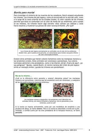 La guerra biológica y la escalada armamentista de la coevolución
UCMP – Understanding Evolution Team – 2007 – Traducción: Prof. José Miguel Palma ‐2009‐2010 4 
Bonito pero mortal 
Para investigar el misterio de las muertes de los cazadores, Butch empezó estudiando
los tritones. Los tritones de piel áspera, como el encontrado en la olla del café, viven
a lo largo de la costa oriental de los Estados Unidos. El color castaño de los tritones
permite que éstos se confundan con el color de fondo de sus ambientes; pero cuando
se los molesta, los tritones hacen algo extraño: ellos voltean sus cabezas y colas
hacia nosotros y muestran sus panzas de color naranja brillante. ¿Por qué?
Los tritones de piel áspera normalmente se confunden con el color de los ambientes
donde viven, pero cuando se los perturba, se contorsionan para revelar una parte inferior
de color anaranjado brillante.
Existen otros animales que tienen colores llamativos como las mariposas monarca y
las serpientes corales. Estos animales son venenosos o ponzoñosos. Sus colores
luminosos advierten a los predadores, como si les dijeran ¡Atrás! ¡Fuera de aquí!, ¡yo
soy peligroso! " Quizás, razonó Butch, el vientre naranja del tritón de piel áspera
envía un mensaje similar; ¡quizás los tritones son ponzoñosos!. 
No es lo mismo… 
¿Cuál es la diferencia entre ponzoña y veneno? ¿Necesitas pistas? Las mariposas
monarca son ponzoñosas, mientras que las serpientes coral son venenosas, y cualquiera
de las dos podría dejarnos bastante enfermos.
Las mariposas monarca (izquierda) y las serpientes coral (derecha) son
animales tóxicos, de colores brillantes y llamativos. Una es ponzoñosa y otra
venenosa: ¿cuál es cuál?
Si la toxina se inyecta activamente, como por una mordedura de serpiente o una
picadura de abeja, se llama veneno. Pero si la toxina es absorbida a través de la piel,
inhalada, o comida (como por las aves predadoras de la mariposa monarca), se llama
ponzoña.
 