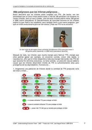 La guerra biológica y la escalada armamentista de la coevolución
UCMP – Understanding Evolution Team – 2007 – Traducción: Prof. José Miguel Palma ‐2009‐2010 7 
Más peligrosos que los tritones peligrosos… 
Butch descubrió que los tritones están cargados con TTX. ¡De hecho, son tan
ponzoñosos que un único tritón podría matar a más de 100 personas! Los humanos no
comen tritones, pero un ave si puede. ¡Uno de estos tritones podría matar 200 garzas
o 2000 martín pescadores! El descubrimiento de toxicidad extrema en los tritones
explicó lo que mató a los cazadores; pero también llevó a una nueva pregunta: ¿por
qué un tritón evolucionaría para ser tan tóxico? ¿Todo ese TTX no es excesivo?
Un solo tritón de piel áspera tienen suficiente tetrodotoxina (TTX) como para matar a
200 garzas azules (izquierda) o a 2000 martín‐pescadores (derecha)
Después de todo, los tritones usan mucha energía para fabricar TTX; energía que
ellos podrían gastar por ejemplo, en encontrar comida, crecer más rápido, o
reproducirse. ¿Por qué el tritón desperdicia toda esa energía fabricando más TTX del
que necesita? En términos evolutivos, no tiene sentido. La selección natural debería
causar que los tritones desarrollen niveles de TTX lo suficientemente altos para
protegerlos de los depredadores. Funciona así...
1. Imaginemos una población de tritones donde la cantidad de TTX producida varía
de tritón a tritón...
 
