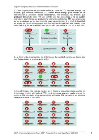 La guerra biológica y la escalada armamentista de la coevolución
UCMP – Understanding Evolution Team – 2007 – Traducción: Prof. José Miguel Palma ‐2009‐2010 8
2. Como la producción de sustancias químicas, como la TTX, requiere energía, los
tritones que producen demasiado TTX tienen menos energía para invertir en la
reproducción y producen menos descendencia. Sin embargo, los tritones que
producen demasiado poca TTX son comidos por los predadores y no se pueden
reproducir. Los tritones que producen la suficiente cantidad de TTX para protegerse
de los predadores son los que tienen la mayor descendencia. Si el nivel de toxicidad
se hereda de hecho (como parece ser), los tritones de toxicidad alta tendrán hijos
muy tóxicos y los de toxicidad baja producirán descendencia con poca toxicidad.
3. Al tener más descendencia, los tritones con la cantidad correcta de toxina son
más frecuentes en la próxima generación:
4. Con el tiempo, este ciclo se repite y en el futuro la población entera consiste en
tritones con el nivel adecuado de TTX. Los tritones que gastaron mucha energía en
producir TTX en exceso y los que no tenían suficiente TTX para evitar ser comidos
desaparecieron de la población
 