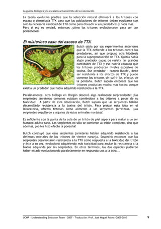 La guerra biológica y la escalada armamentista de la coevolución
UCMP – Understanding Evolution Team – 2007 – Traducción: Prof. José Miguel Palma ‐2009‐2010 9
La teoría evolutiva predice que la selección natural eliminará a los tritones con
escasa o demasiada TTX para que las poblaciones de tritones deban equiparse con
sólo la necesaria cantidad de TTX como para disuadir a sus predadores y nada más.
Pero si eso es verdad, entonces ¿cómo los tritones evolucionaron para ser tan
ponzoñosos? 
El misterioso caso del exceso de TTX 
Butch sabía por sus experimentos anteriores
que la TTX defiende a los tritones contra los
predadores, así que propuso otra hipótesis
para la superproducción de TTX. Quizás había
algún predador capaz de resistir las grandes
cantidades de TTX y eso habría causado que
los tritones produzcan niveles excesivos de
toxina. Ese predador ‐ razonó Butch‐, debe
ser resistente a los efectos de TTX y puede
comerse los tritones sin sufrir los efectos de
la ponzoña. Butch supuso entonces que los
tritones producían mucha más toxina porque
existía un predador que había adquirido resistencia a la TTX.
Paralelamente, otro biólogo en Oregón observó algo realmente sorprendente: ¡las
serpientes jarreteras comunes estaban comiéndose a los tritones a pesar de su
toxicidad! A partir de esta observación, Butch supuso que las serpientes habían
desarrollado resistencia a la toxina del tritón. Para probar esta idea en el
laboratorio, ofreció tritones como alimento a las serpientes jarreteras. ¡Las
serpientes engulleron a algunos de éstos animales mortales!
Es suficiente con la punta de la cola de un tritón de piel áspera para matar a un ser
humano adulto sano. Las serpientes no sólo se comieron al tritón completo, sino que
además, ¡no les hizo efecto la ponzoña!
Butch concluyó que esas serpientes jarreteras habían adquirido resistencia a las
defensas mortales de los tritones de vientre naranja. Sospechó entonces que las
serpientes desarrollaron resistencia a la TTX como respuesta a la toxicidad del tritón
y éste a su vez, evolucionó adquiriendo más toxicidad para anular la resistencia a la
toxina adquirida por las serpientes. En otros términos, las dos especies pudieron
haber estado evolucionando paralelamente en respuesta una a la otra...
 