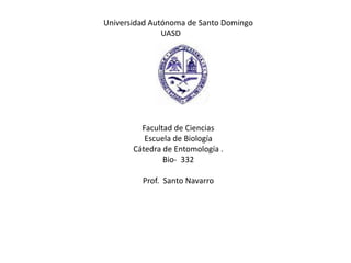 Universidad Autónoma de Santo Domingo  		UASD			 Facultad de Ciencias Escuela de Biología Cátedra de Entomología . Bio-  332 Prof.  Santo Navarro   