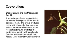 Orchid Coevolution Example Coevolution fyghukkkkkkkkkkkkkkkkkkkkhhhh | PPTX