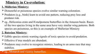 Mimicry in Co-evolution:
1. Müllerian Mimicry:
 Distasteful or poisonous species evolve similar warning coloration.
 Predators (e.g., birds) learn to avoid one pattern, reducing prey loss and
predator risk.
 eg., Heliconius erato and H.melpomene butterflies in the Amazon basin. Races
of the two species living in the same area have very similar wing patterns. Both
species are poisonous, so this is an example of Mullerian Mimicry
2. Batesian Mimicry:
 Edible species mimic warning signals of toxic species to avoid predation.
 Effective if true models are abundant.
 Predators may evolve to recognize mimics, leading to an arms race that may
stabilize.
 eg., Monarch and viceroy butterflies.
 