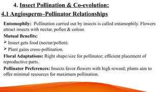 4. Insect Pollination & Co-evolution:
4.1 Angiosperm–Pollinator Relationships
Entomophily: Pollination carried out by insects is called entamophily. Flowers
attract insects with nectar, pollen & colour.
Mutual Benefits:
 Insect gets food (nectar/pollen).
 Plant gains cross-pollination.
Floral Adaptations: Right shape/size for pollinator; efficient placement of
reproductive parts.
Pollinator Preferences: Insects favor flowers with high reward; plants aim to
offer minimal resources for maximum pollination.
 
