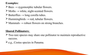 Examples:
 Bees → zygomorphic tubular flowers.
 Moths → white, night-scented flowers.
 Butterflies → long corolla tubes.
 Hummingbirds → red, tubular flowers.
 Mammals → robust flowers on strong branches.
Shared Pollinators:
 Two rare species may share one pollinator to maintain reproductive
success.
 e.g., Costus species in Panama.
 