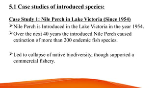 5.1 Case studies of introduced species:
Case Study 1: Nile Perch in Lake Victoria (Since 1954)
Nile Perch is Introduced in the Lake Victoria in the year 1954.
Over the next 40 years the introduced Nile Perch caused
extinction of more than 200 endemic fish species.
Led to collapse of native biodiversity, though supported a
commercial fishery.
 