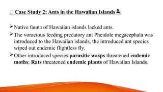 🐜 Case Study 2: Ants in the Hawaiian Islands
️ 🏝️
Native fauna of Hawaiian islands lacked ants.
The voracious feeding predatory ant Pheidole megacephala was
introduced to the Hawaiian islands, the introduced ant species
wiped out endemic flightless fly.
Other introduced species parasitic wasps threatened endemic
moths; Rats threatened endemic plants of Hawaiian Islands.
 
