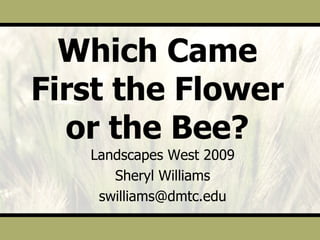 Which Came First the Flower or the Bee? Landscapes West 2009 Sheryl Williams [email_address] 