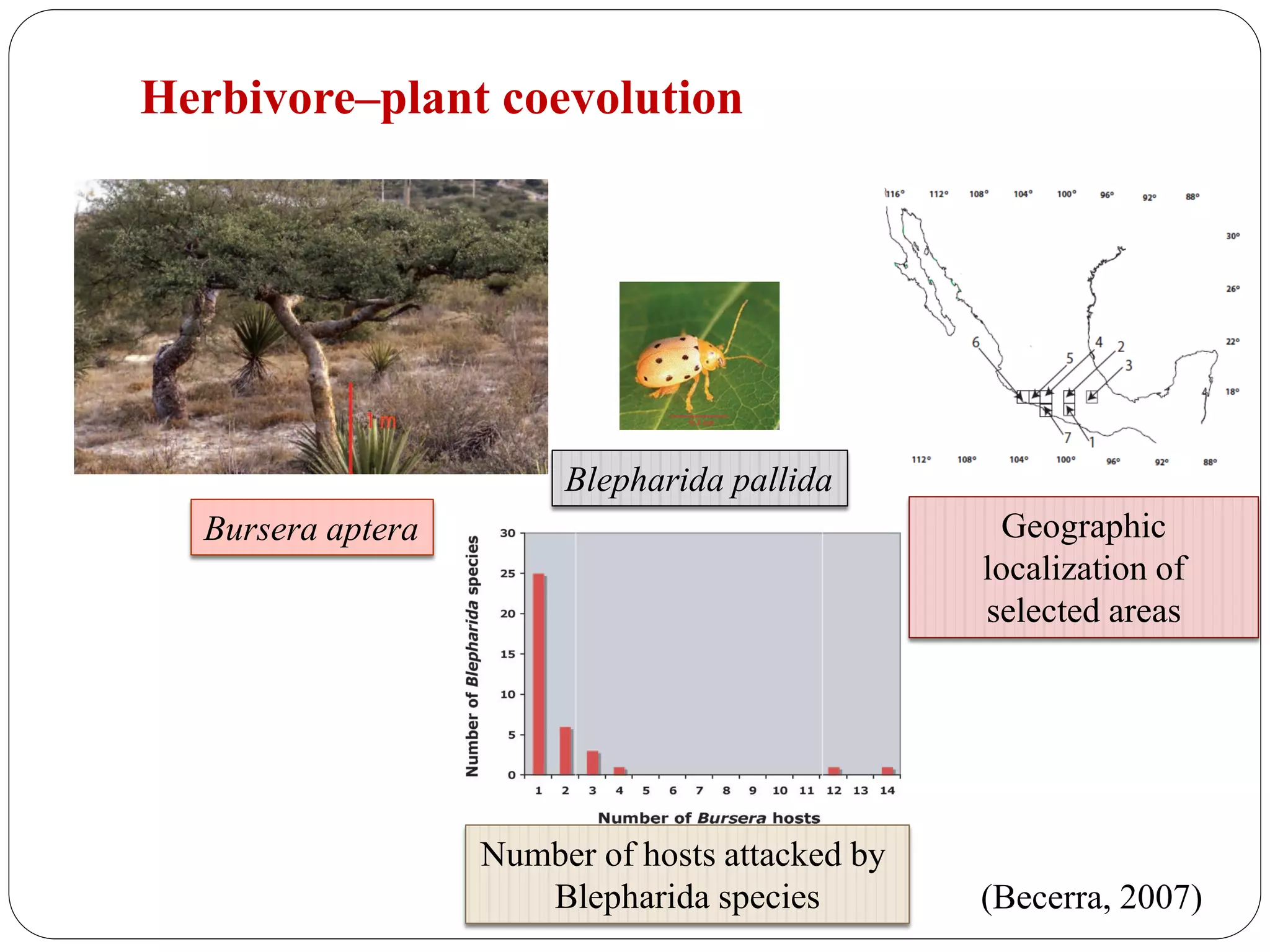 Coevolution of plant and insects | PDF