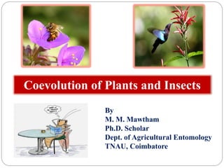 Coevolution of Plants and Insects
By
M. M. Mawtham
Ph.D. Scholar
Dept. of Agricultural Entomology
TNAU, Coimbatore
 