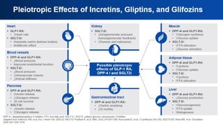 Pleiotropic Effects of Incretins, Gliptins,
and Glifozins
 