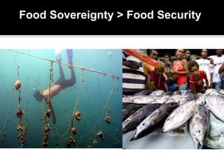 Food Sovereignty > Food Security
 