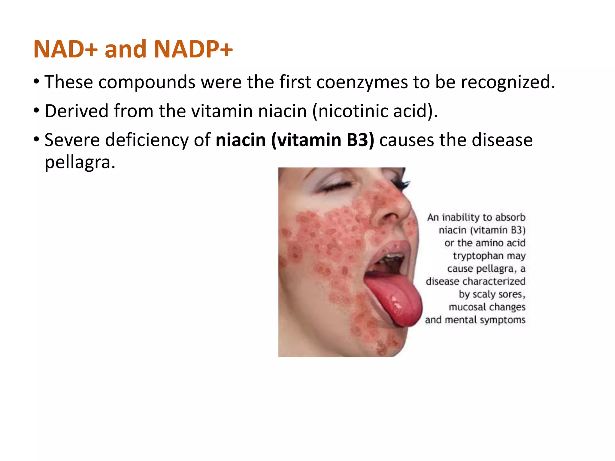 NAD+ and NADP+
• These compounds were the first coenzymes to be recognized.
• Derived from the vitamin niacin (nicotinic acid).
• Severe deficiency of niacin (vitamin B3) causes the disease
pellagra.
 