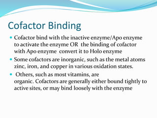 Cofactor Binding
 Cofactor bind with the inactive enzyme/Apo enzyme
to activate the enzyme OR the binding of cofactor
with Apo enzyme convert it to Holo enzyme
 Some cofactors are inorganic, such as the metal atoms
zinc, iron, and copper in various oxidation states.
 Others, such as most vitamins, are
organic. Cofactors are generally either bound tightly to
active sites, or may bind loosely with the enzyme
 