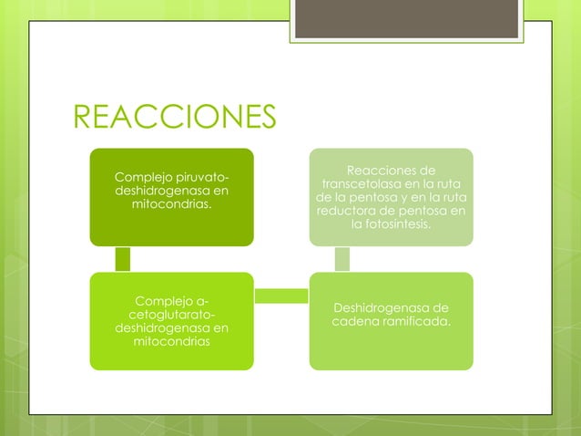 ENZIMAS/Cofactores | PPT