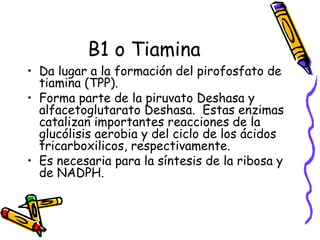 B1 o Tiamina
• Da lugar a la formación del pirofosfato de
tiamina (TPP).
• Forma parte de la piruvato Deshasa y
alfacetoglutarato Deshasa. Estas enzimas
catalizan importantes reacciones de la
glucólisis aerobia y del ciclo de los ácidos
tricarboxilicos, respectivamente.
• Es necesaria para la síntesis de la ribosa y
de NADPH.
 