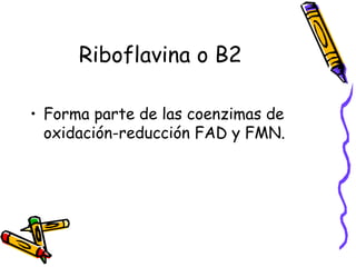Riboflavina o B2
• Forma parte de las coenzimas de
oxidación-reducción FAD y FMN.
 