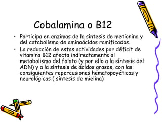 Cobalamina o B12
• Participa en enzimas de la síntesis de metionina y
del catabolismo de aminoácidos ramificados.
• La reducción de estas actividades por déficit de
vitamina B12 afecta indirectamente al
metabolismo del folato (y por ello a la síntesis del
ADN) y a la síntesis de ácidos grasos, con las
consiguientes repercusiones hematopoyéticas y
neurológicas ( síntesis de mielina)
 