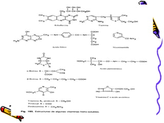 Cofactores y coenzimas