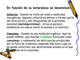 En función de su naturaleza se denominan:
Cofactor. Cuando se trata de iones o moléculas
inorgánicas. Algunos cofactores entran a formar parte
del sitio activo y son integrantes de la proteína
(enzima) (metaloproteínas) ; otros al parecer,
establecen un enlace entre la enzima y el sustrato.
Coenzima. Cuando es una molécula orgánica. Aquí se
puede señalar, que muchas vitaminas funcionan como
coenzimas; y realmente las deficiencias producidas
por la falta de vitaminas responde más bien a que no
se puede sintetizar una determinada enzima en el que
la vitamina es la coenzima.
 
