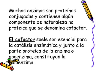 Muchas enzimas son proteínas
conjugadas y contienen algún
componente de naturaleza no
proteica que se denomina cofactor.
El cofactor suele ser esencial para
la catálisis enzimática y junto a la
parte proteica de la enzima o
apoenzima, constituyen la
holoenzima.
 