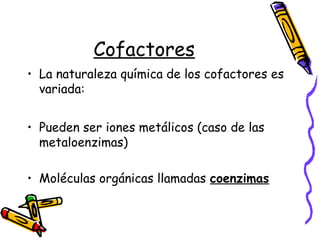 Cofactores
• La naturaleza química de los cofactores es
variada:
• Pueden ser iones metálicos (caso de las
metaloenzimas)
• Moléculas orgánicas llamadas coenzimas
 