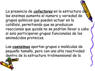 La presencia de cofactores en la estructura de
las enzimas aumenta el numero y variedad de
grupos químicos que pueden actuar en la
catálisis, permitiendo que se produzcan
reacciones que quizás no se podrían llevar a cabo
si solo participaran grupos funcionales de los
aminoácidos proteicos.
Las coenzimas aportan grupos o moléculas de
pequeño tamaño, pero con una alta reactividad
dentro de la estructura tridimensional de la
enzima.
 