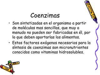 Coenzimas
• Son sintetizadas en el organismo a partir
de moléculas mas sencillas, que muy a
menudo no pueden ser fabricadas en él, por
lo que deben aportarlas los alimentos.
• Estos factores exógenos necesarios para la
síntesis de coenzimas son micronutrientes
conocidos como vitaminas hidrosolubles.
 