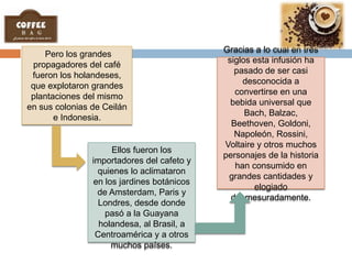 Pero los grandes
propagadores del café
fueron los holandeses,
que explotaron grandes
plantaciones del mismo
en sus colonias de Ceilán
e Indonesia.
Ellos fueron los
importadores del cafeto y
quienes lo aclimataron
en los jardines botánicos
de Amsterdam, Paris y
Londres, desde donde
pasó a la Guayana
holandesa, al Brasil, a
Centroamérica y a otros
muchos países.
Gracias a lo cual en tres
siglos esta infusión ha
pasado de ser casi
desconocida a
convertirse en una
bebida universal que
Bach, Balzac,
Beethoven, Goldoni,
Napoleón, Rossini,
Voltaire y otros muchos
personajes de la historia
han consumido en
grandes cantidades y
elogiado
desmesuradamente.
 